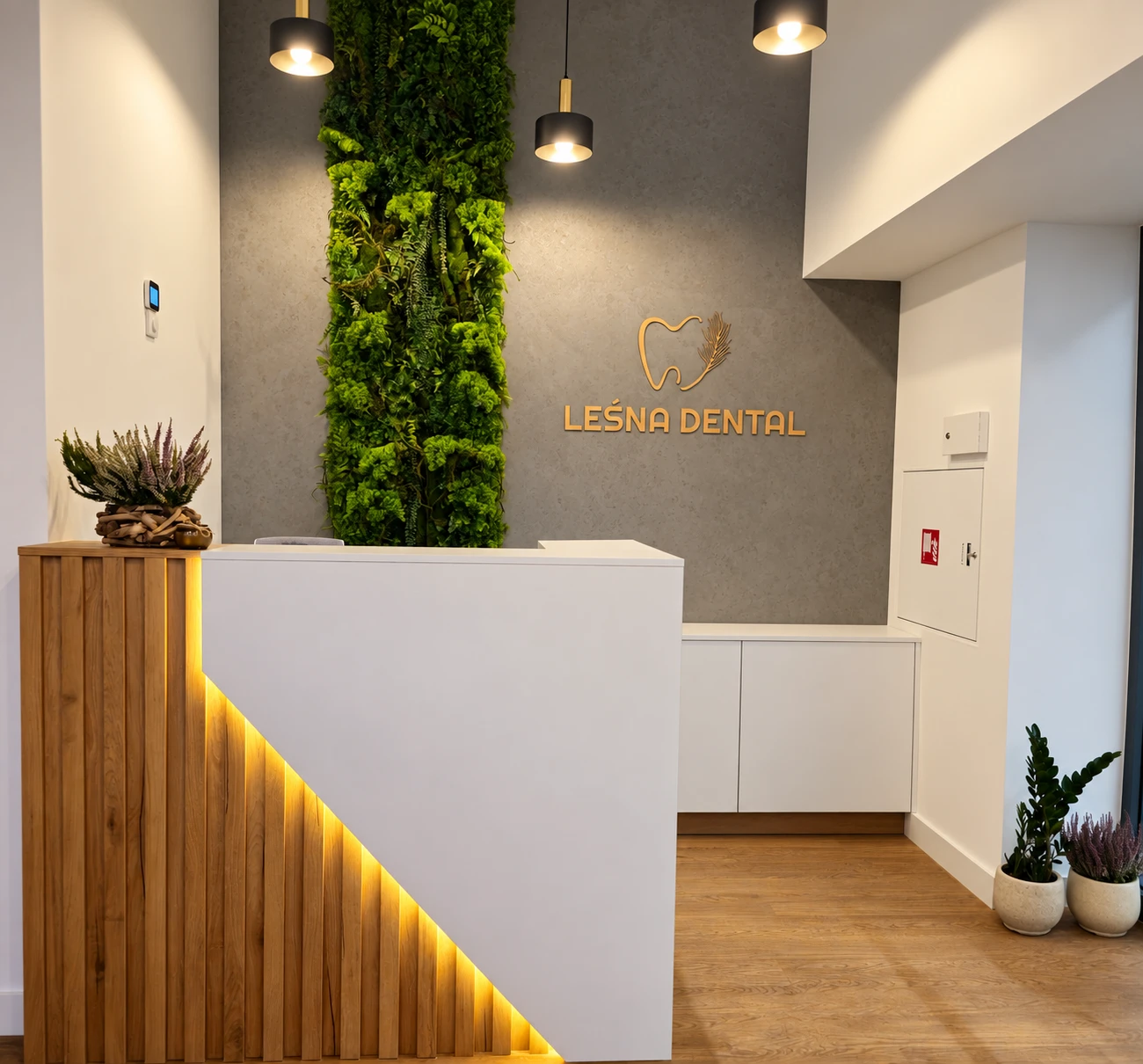Recepcja Leśna Dental